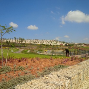 View of the newly created visitor's center and landscaping at the Ariel Sharon Park.
